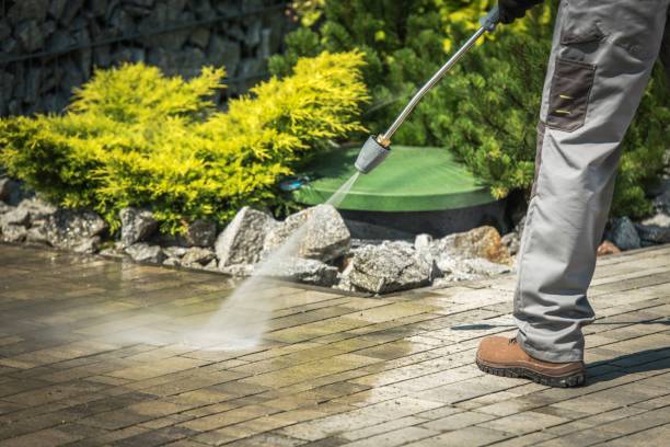 Best Sidewalk and Walkway Pressure Cleaning in Paradise, NV