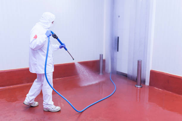 Best Roof Cleaning and Mildew Removal in Paradise, NV
